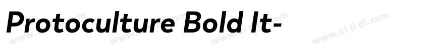 Protoculture Bold It字体转换